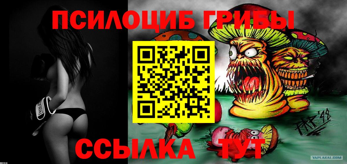 Галлюциногенные грибы MAGIC MUSHROOMS  Псилоцибиновые грибы Psilocybe  закладка  Вход с VPN  Красноуфимск 