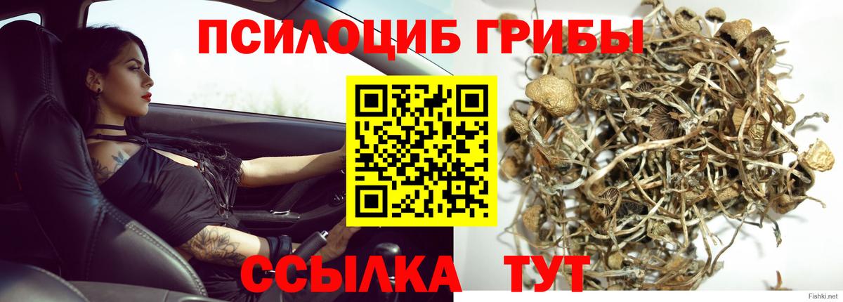 Галлюциногенные грибы ЛСД Красноуфимск